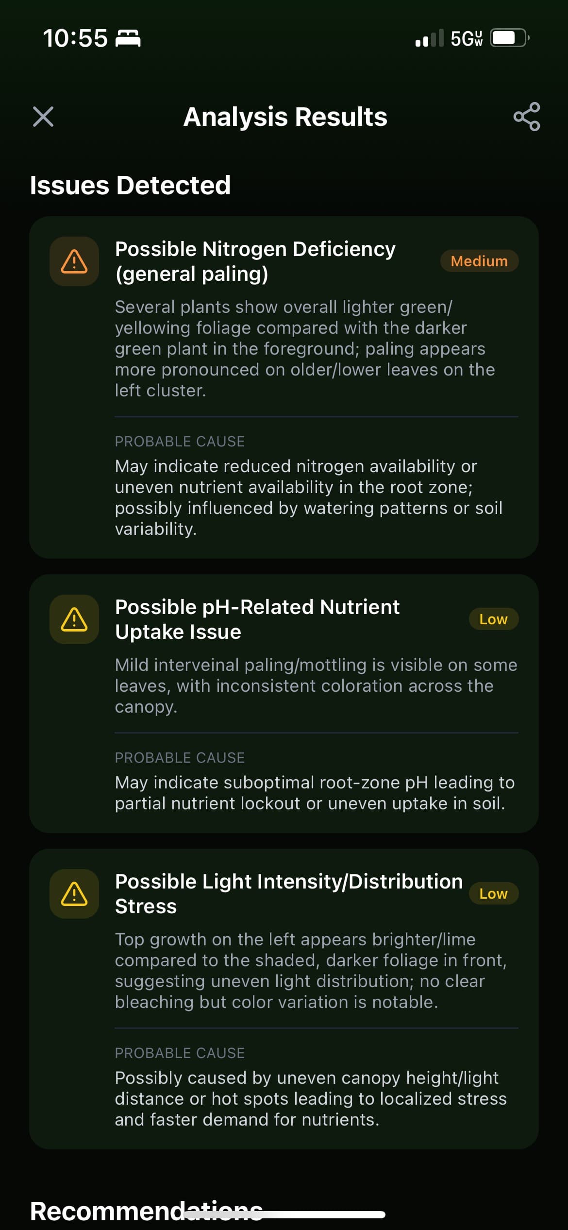 AI treatment recommendations and 7-day action plan for cannabis nutrient deficiency