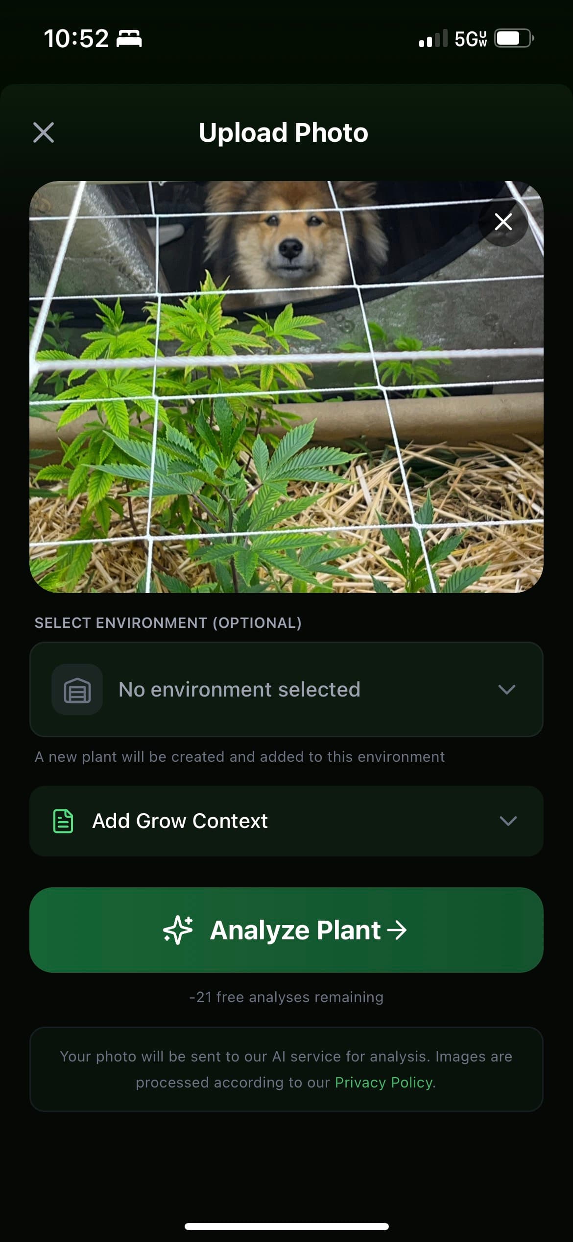 You spot something wrong